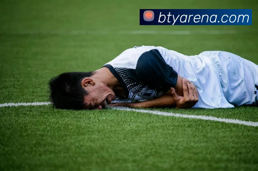 B体育平台生态图